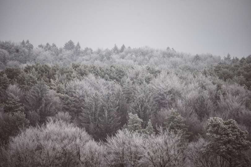 Fotografija je simbolična.