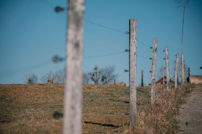 Z električno ograjo s petimi žicami in ustrezno izhodno močjo aparata morajo odslej biti zaščitene njivske površine, večje od enega hektarja, na katerih rastejo vrednejše kmetijske kulture.