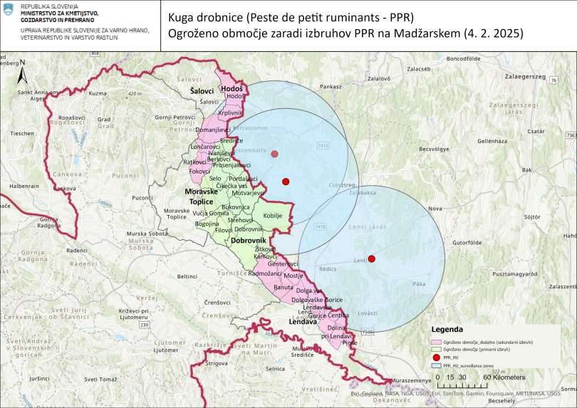 ogroženo območje, kuga drobnice