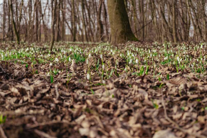 Fotografija je simbolična.