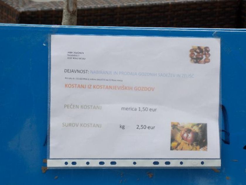 FOTO: Kostanj spet na Glavnem trgu