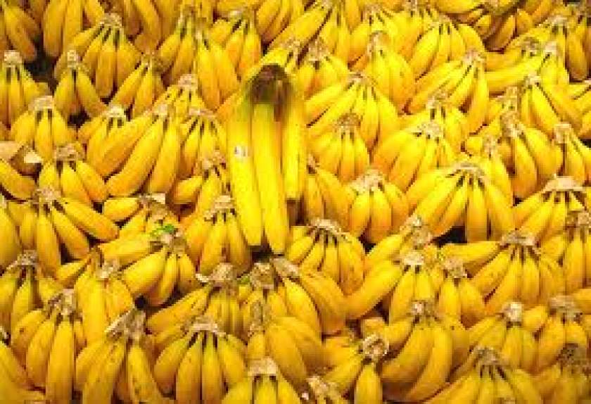 Po novem - bananine počitnice!