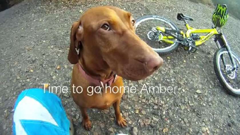 VIDEO: V dir pred psičko