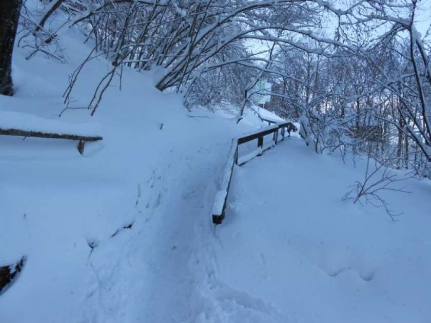 Pri sestopu z Gorjancev se je poškodoval