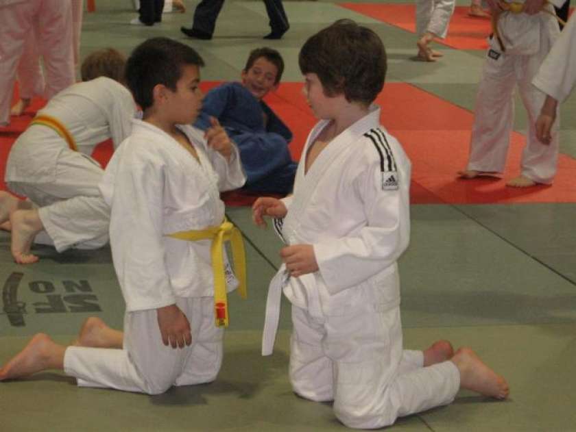 V&#38;F: Mladi novomeški judoisti uspešni