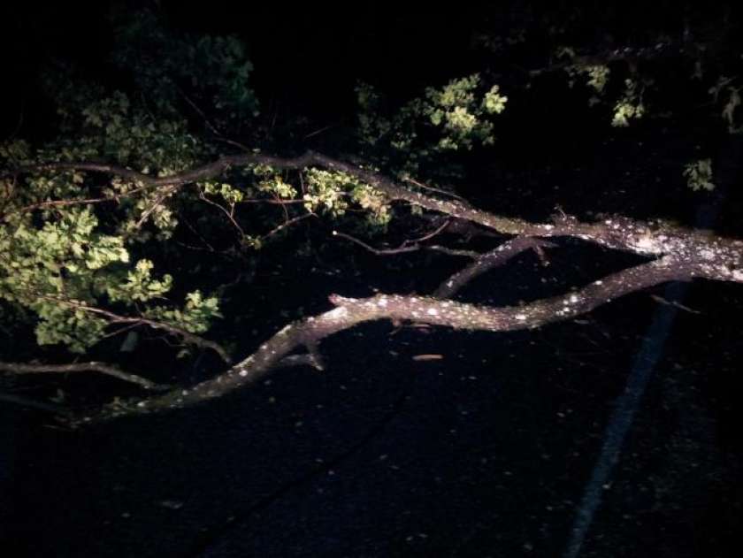 FOTO: Razmočen teren in padla drevesa