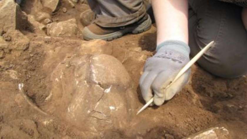 Na novomeški Kapiteljski njivi končali letošnja arheološka izkopavanja