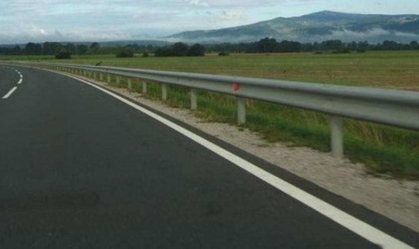 Prenova dolenjske avtoceste med Drnovim in Brežicami