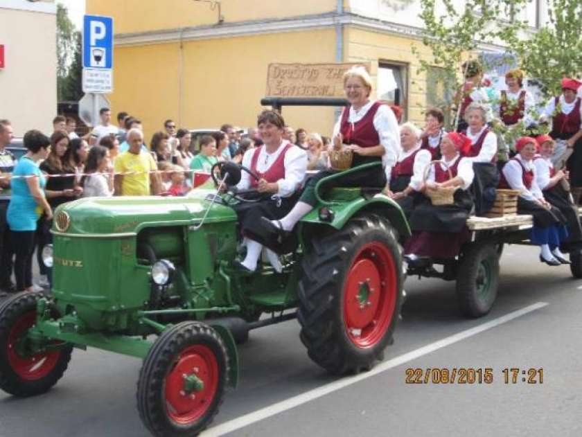 FOTO: Številčno obiskan Jernejev sejem, povorka in razstava konj kasačev  