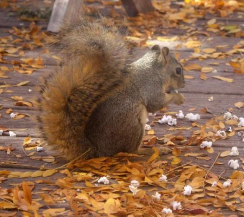 Adijo poletje, pozdravljena jesen?