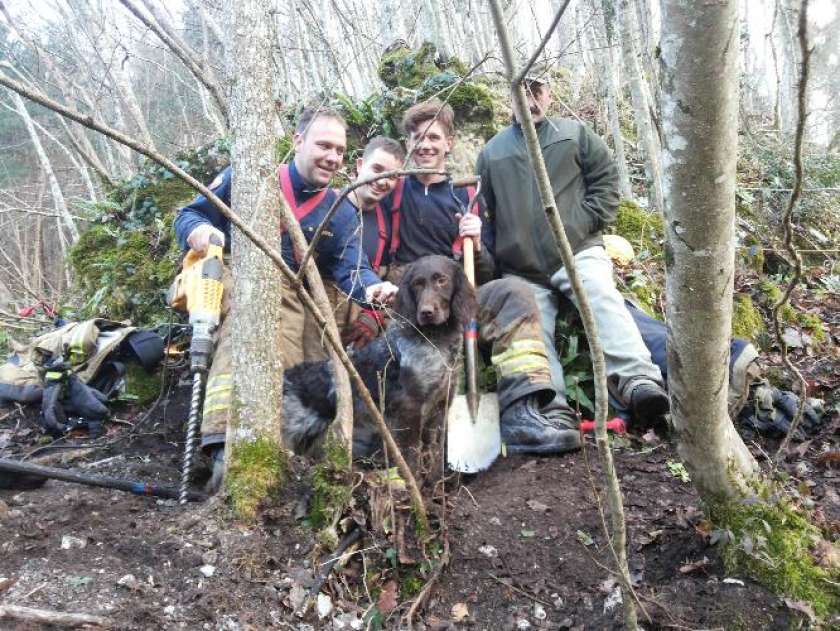 FOTO: Gasilci iz jame rešili psa