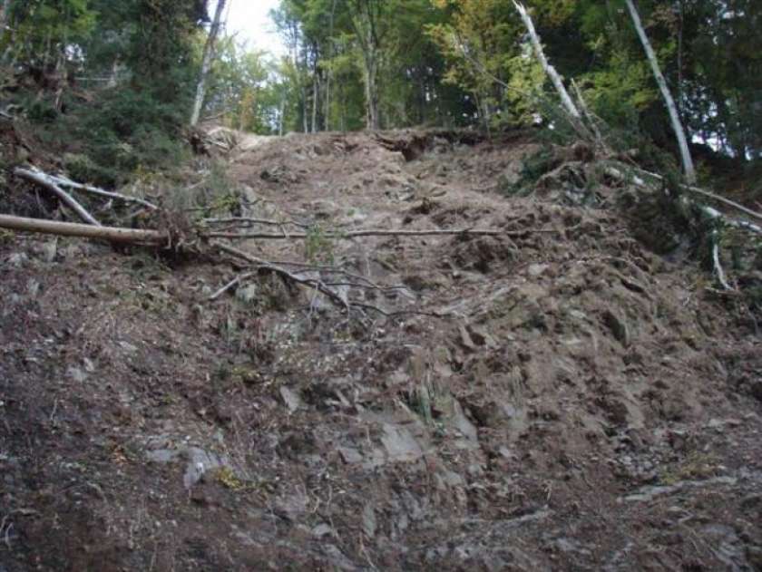 Zemeljski plaz v Trbovljah ogroža hišo