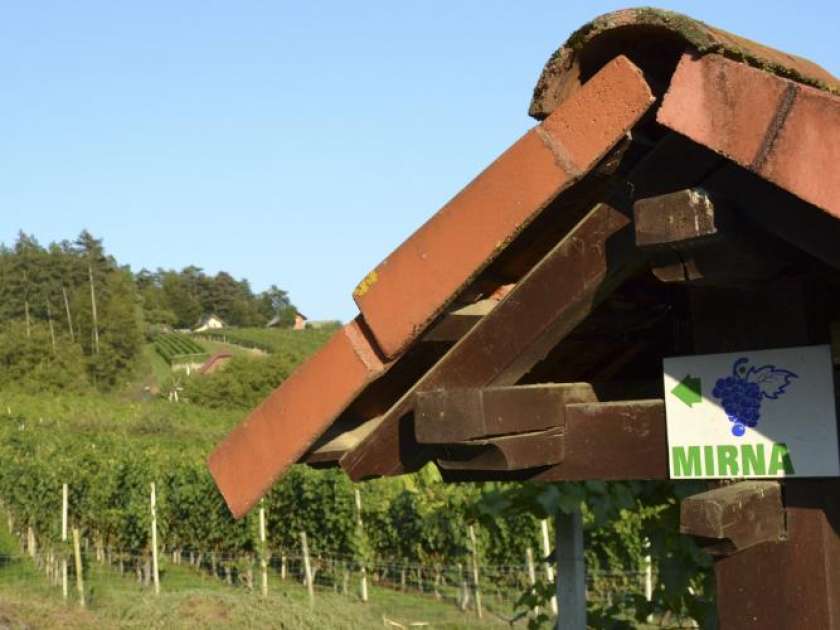 Poziv k legalizaciji neskladnih in nelegalnih gradenj