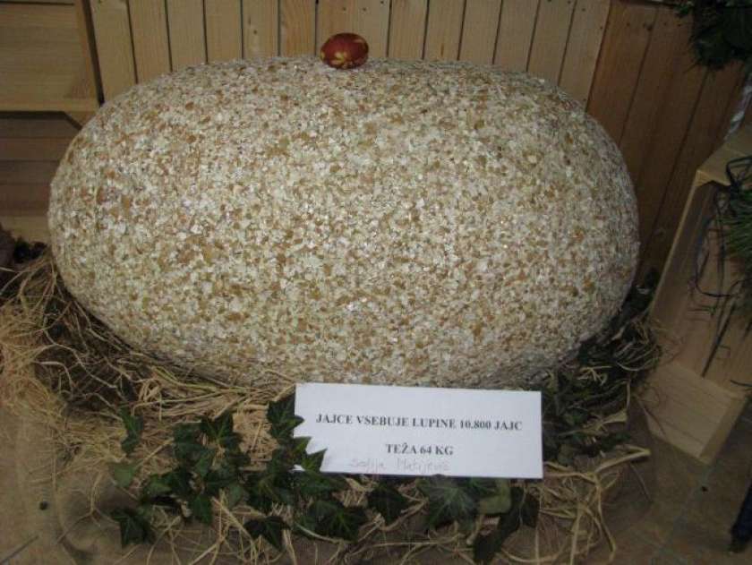 FOTO: Velikonočni pirh, ki tehta 64 kilogramov 