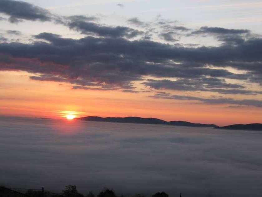 FOTO: Bela krajina v prebujanju