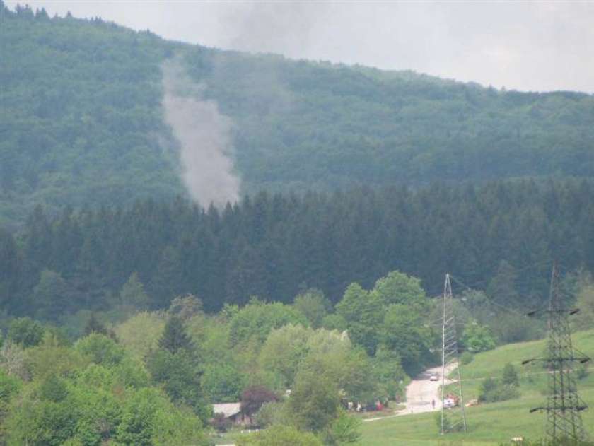 Miklič danes pri Irglovi, Mesojedec oster