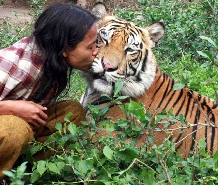 Tiger ubil oskrbnico