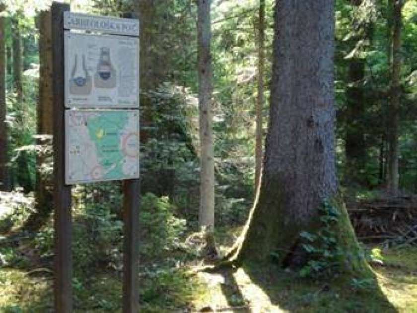 Arheološko raziskovanje na Cvingerju 