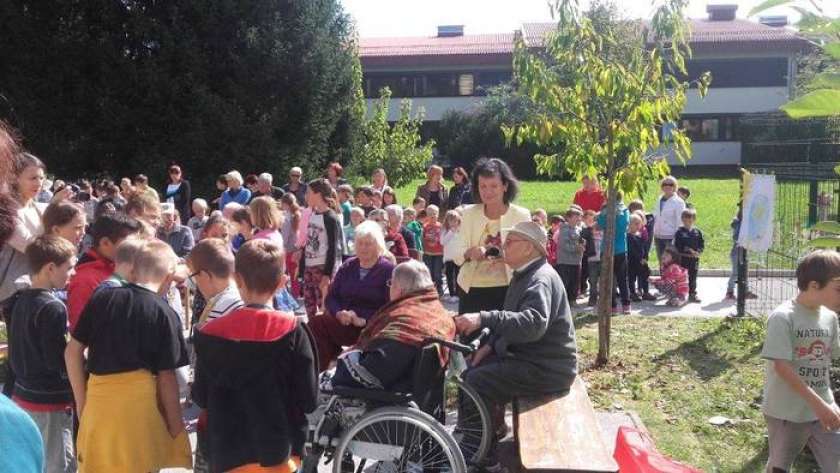 FOTO in AVDIO: Tudi v Ribnici so zasadili drevo miru  