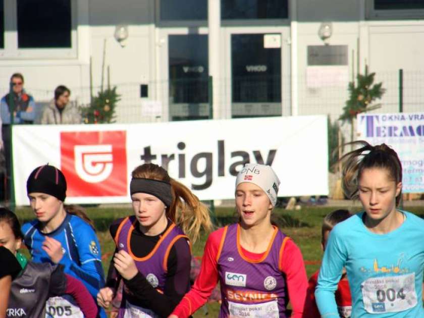 3. tek za Sevniški pokal