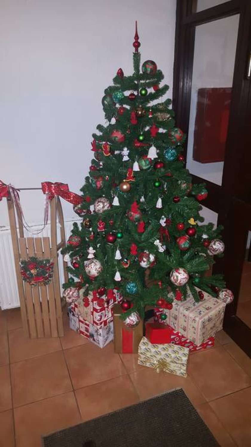 Pomagajte najti sanke pokojne hčerke