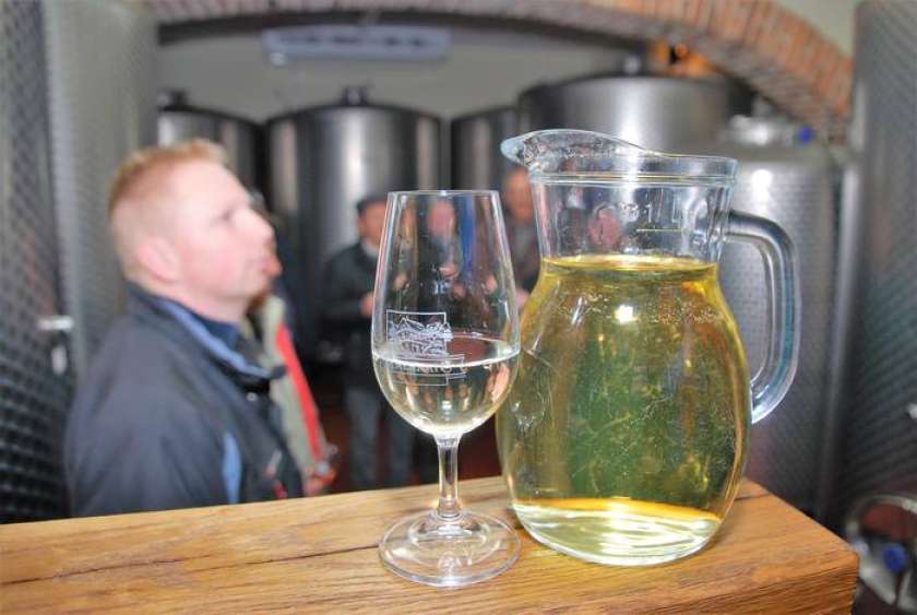 Foto: Za vinogradnike ni miru
