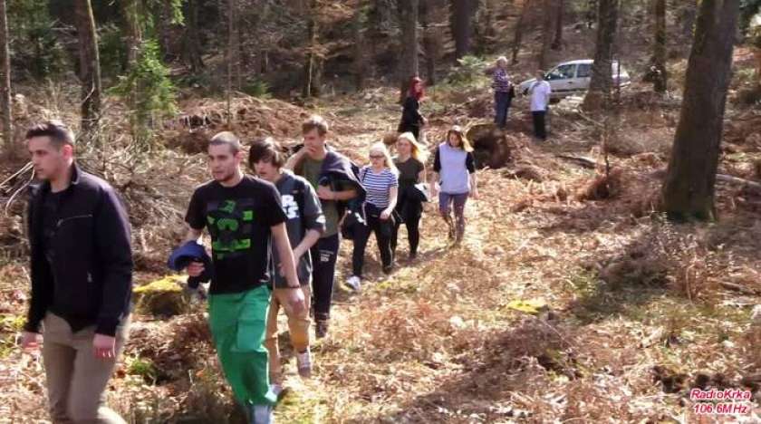 A&#38;F&#38;V: Danes pogozdovanje poseke v Portovalu. Pridite tudi vi!