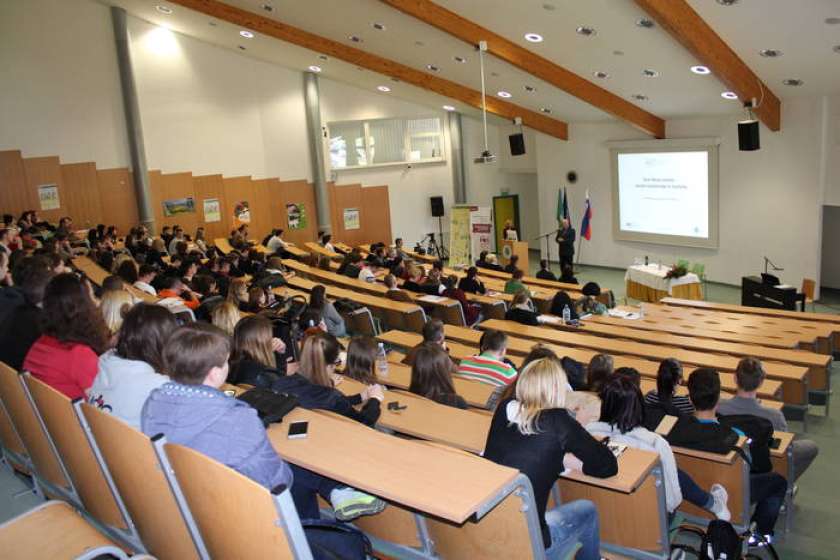 Realizacija programa TD Senovo 