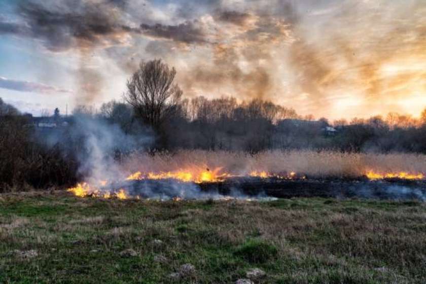 Spet manjši požari – na travnikih, v dimniku in na vozilu