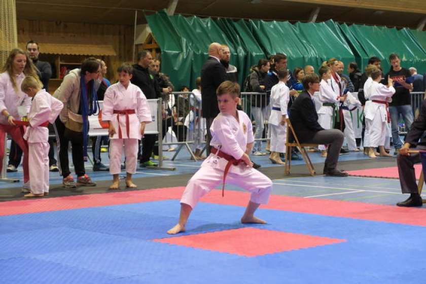 Devet kolajn za brežiške karateiste na Katan cup v Bohinju