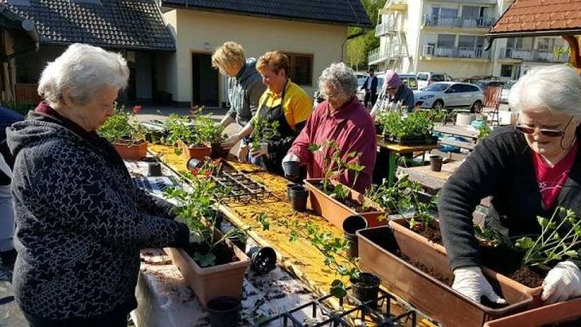 100 balkonov Doma starejših Novo mesto Lionsi zasadili ob Dnevu zemlje