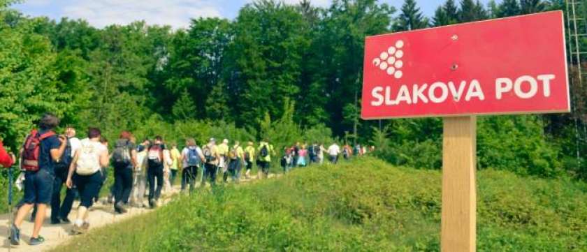 V&#38;F: Novomeščani po Slakovi poti