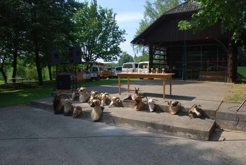 FOTO: S 23. razstave ovac in koz
