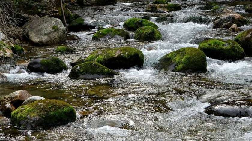 Zvečer in ponoči možna hudourniška razlivanja