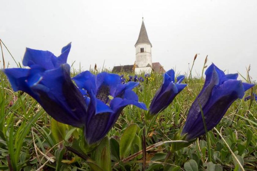 Prenovljene predstavitvene table na Lovrencu