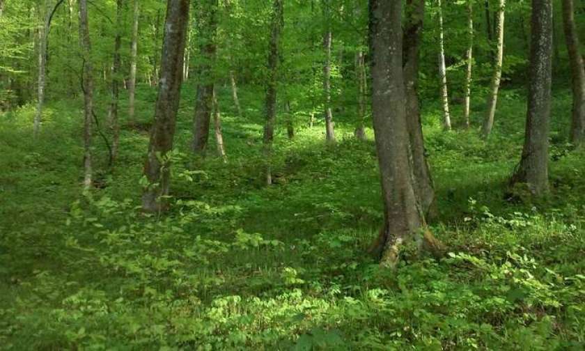 Prevzemna ponudba za preostale delnice Snežnika 