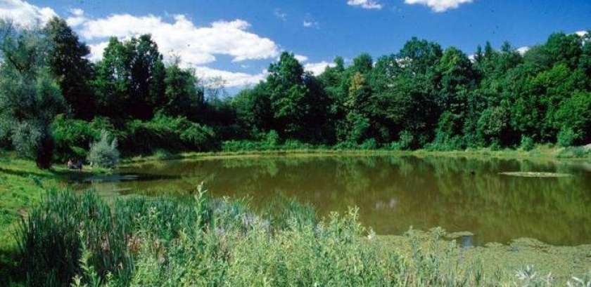 Bela krajina odpira svoja vrata