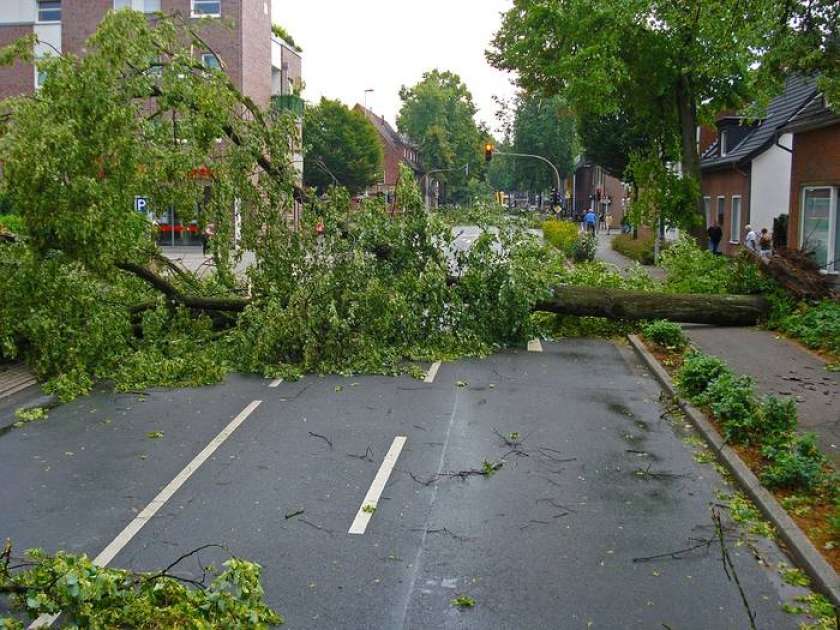 Nevihte z močnim vetrom zajele Dolenjsko in Posavje
