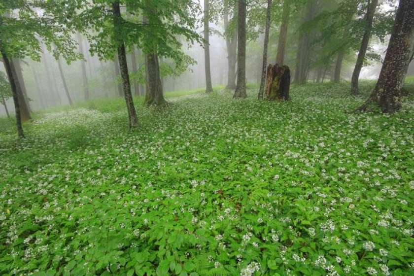 Bodite turistični vodniki destinacije Kočevsko