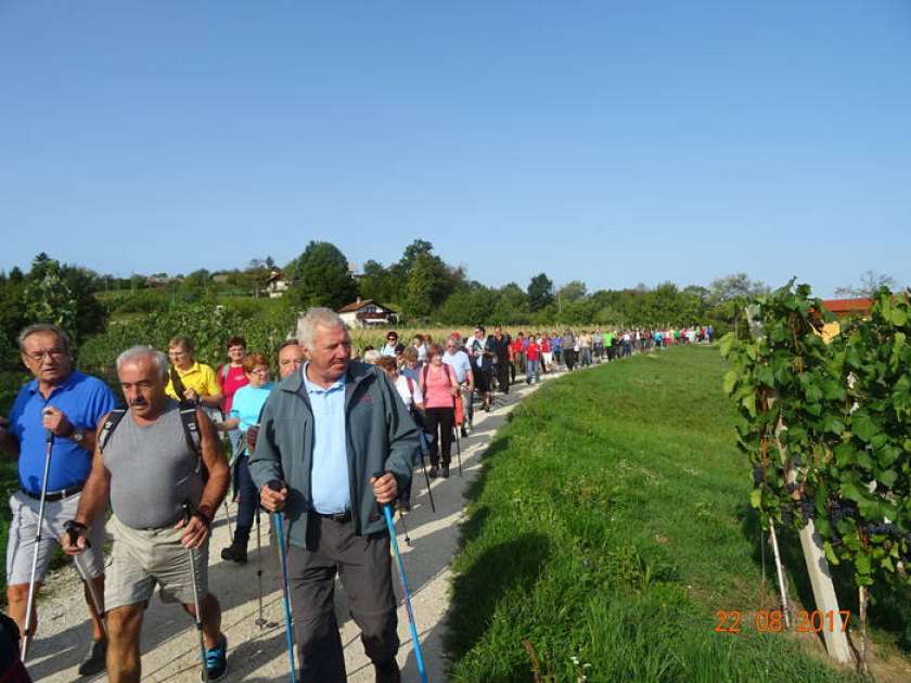 FOTO: Pohod je združil 225 upokojencev