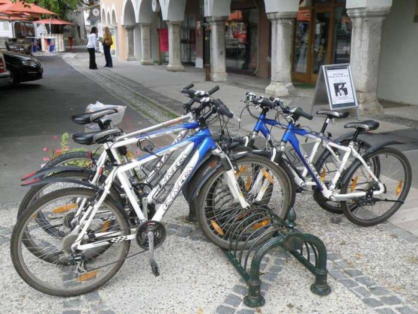 Kako se bo imenoval novomeški sistem za izposojo koles?