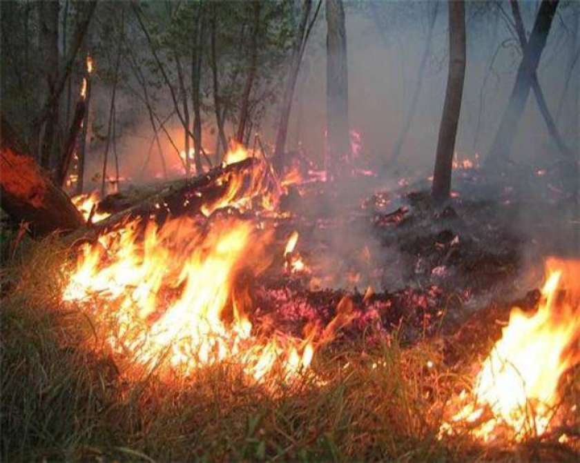Zaradi strele pogorelo gospodarsko poslopje
