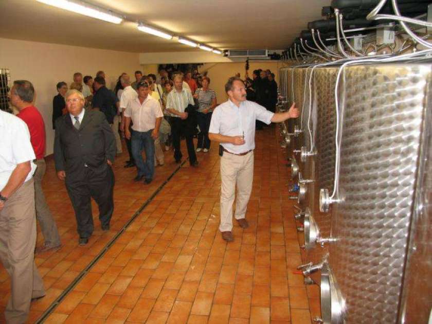 Napotki vinogradnikom pri kletarjenju letošnjega letnika