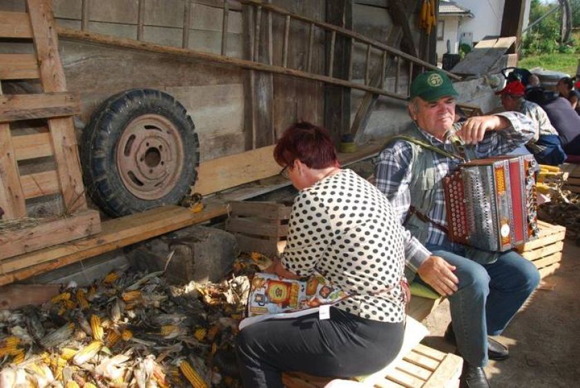 FOTO: Ličkanje koruze kot včasih