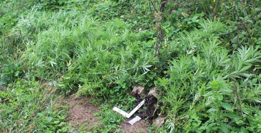 Pretepal starše, na sevniškem droga