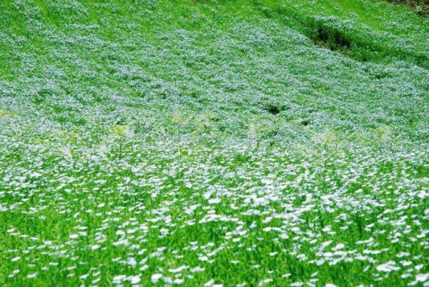 FOTO: Lan in njegove zgodbe 
