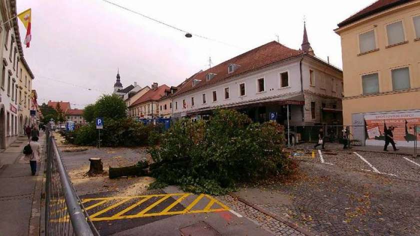 FOTO: Na Glavnem trgu padajo drevesa!