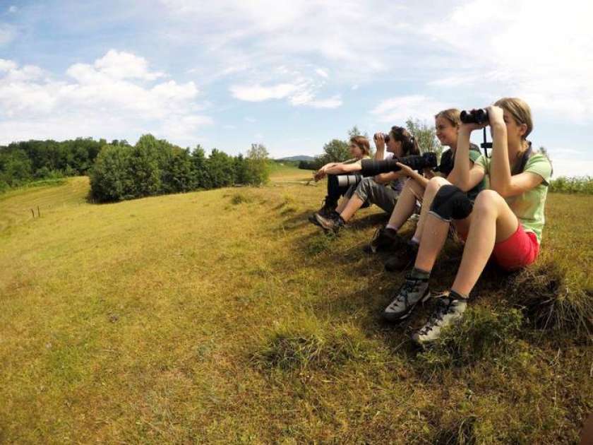 FOTO: V Beli krajini »Ptičarijada«