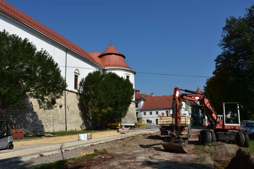 AVDIO&FOTO: Ob urejanju Prešernove ceste v Brežicah bo obnovljen tudi kostanjev drevored