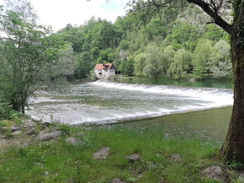 SOS za vode: Kolpa še vedno ena najčistejših rek, je pa treba ukrepati